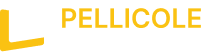pellicole-decorative.it